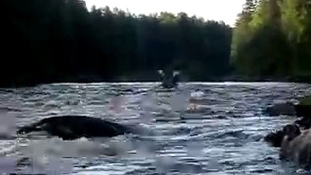 Karelia, Shuya river, Valojne rapid. смотреть онлайн
