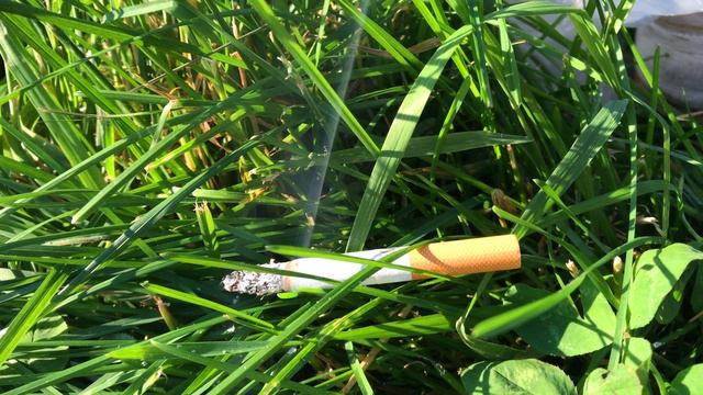 Сигарета смотреть онлайн