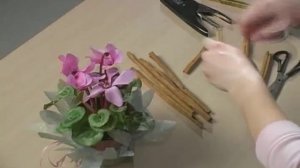 Упаковка цветка в горшке. Вариант 2