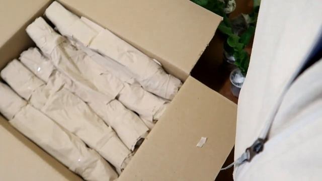 Распаковка посылки с растениями. Как доезжают фиалки, стрептокартусы поздней осенью? смотреть онлайн