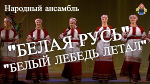 " БЕЛЫЙ ЛЕБЕДЬ ЛЕТАЛ " Народный ансамбль " БЕЛАЯ РУСЬ " в гостях у " МИТРОФАНОВНЫ "