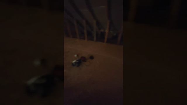 Ремонтное искусство: шаг за шагом к уютному пространству