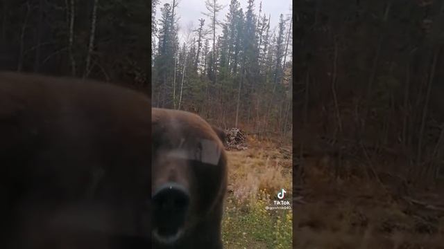 #вахта #Якутия #этороссиядетка (видео не моё) смотреть онлайн