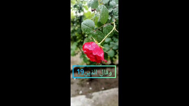 وقال الذين (19)کامل قرآن کريم #quran #quranpak #quran_kareem #fullquran #juz19 #islam смотреть онлайн