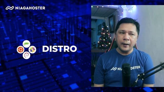 Peter Takeover: WordPress on VPS KVM смотреть онлайн