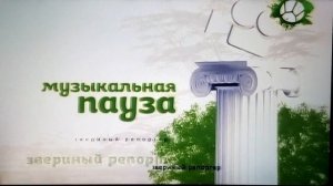 Звериный репортёр Музыкальная