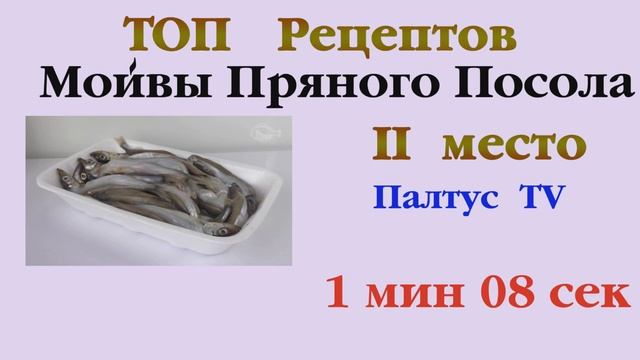 Путешествия Вокруг Света