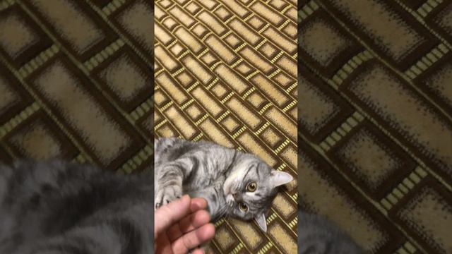 Массаж ног сделай пожалуйста... смотреть онлайн