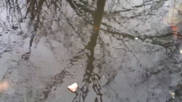 Нос и Абрикосовая Косточка смотреть онлайн