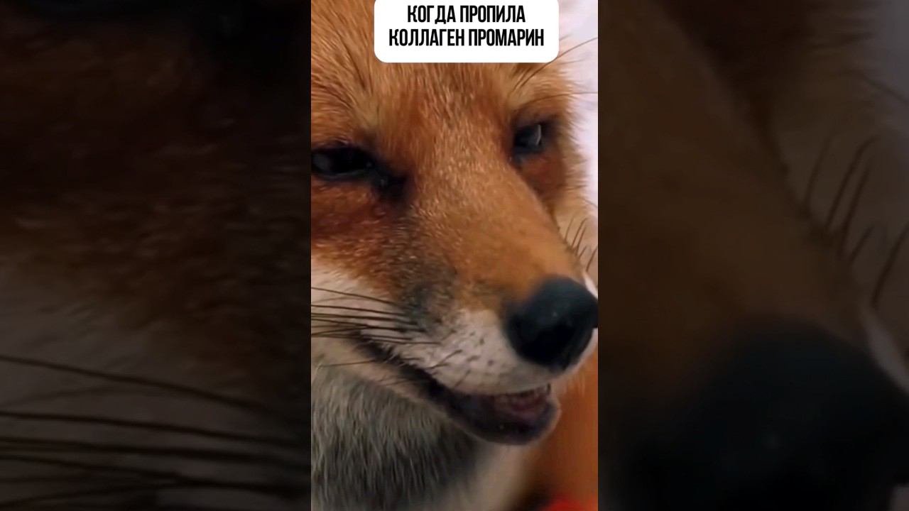 Когда пропила коллаген смотреть онлайн