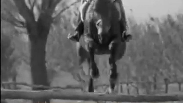 Pierre Jonqueres d'Oriola - Show Jumping Olympic Gold Medalist 1952 and 1964 смотреть онлайн