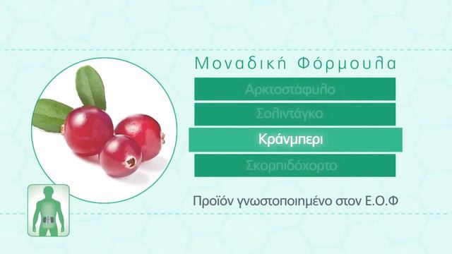 Doctor s Formulas Nefrolin смотреть онлайн