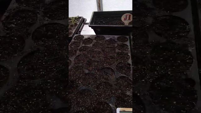 Строительные Инсайты