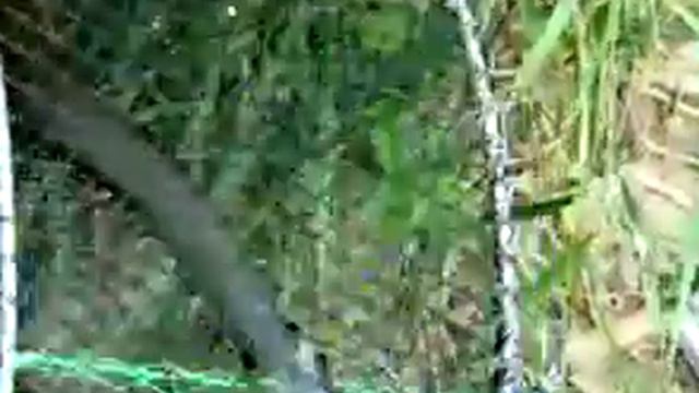 Посушил ятер на рыбалке.1 смотреть онлайн