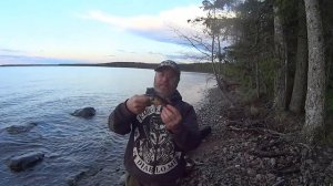 Трофейный лещ на Онежском озере. #капитанандрейфёдоров #видеоорыбалке