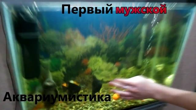Первый мужской! смотреть онлайн