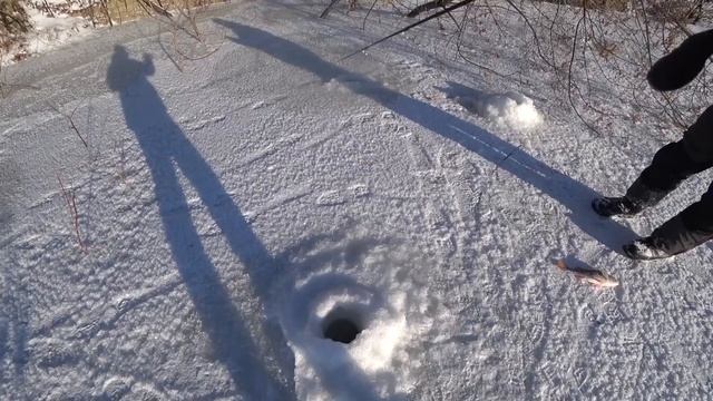 ИСКАЛИ РЕЧНОГО ОКУНЯ! ОБМАНУЛИ И ПОЖАЛЕЛИ... смотреть онлайн