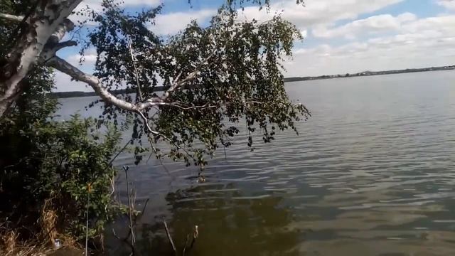 Карп, карась, линь на фидер и мах. Рыбалка. Лобаново. 2020. Август смотреть онлайн