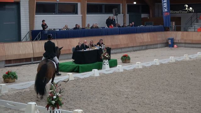 Habanna kwpn @ Ermelo 22 november 2017 смотреть онлайн