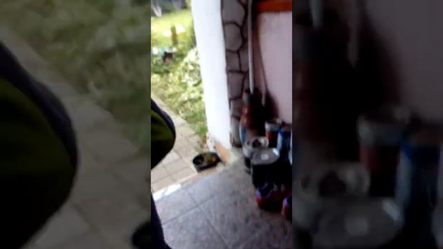 Продолжение следует смотреть онлайн