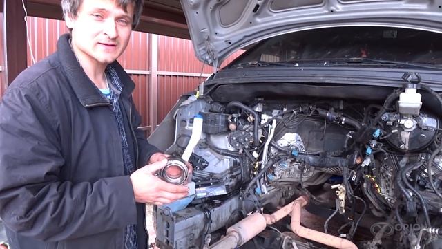 Василий Некрасов НВА. Люксовый свап для вас. Ч2: уровень "Вася" смотреть онлайн