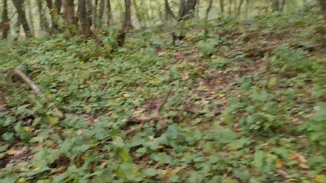 рыбалка в КБР # Trout fishing смотреть онлайн