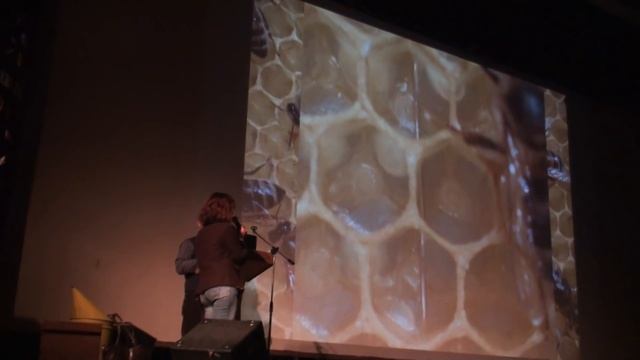 Опыт работы с пчелами породы Бакфаст. Мариуш Хохула смотреть онлайн