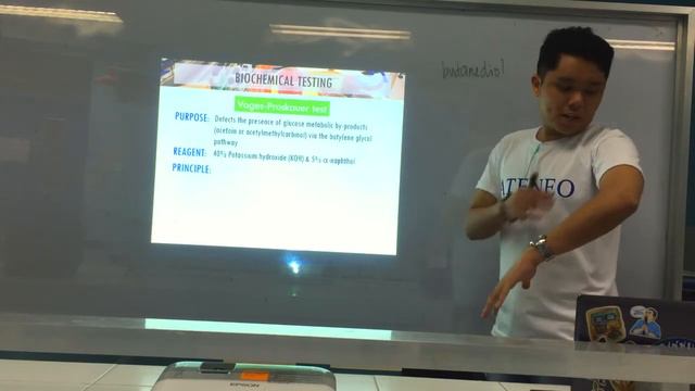MT Pre-Recorded Lectures | MT 37: Biochemical Testing (Enterobacteriaceae Part 2) смотреть онлайн