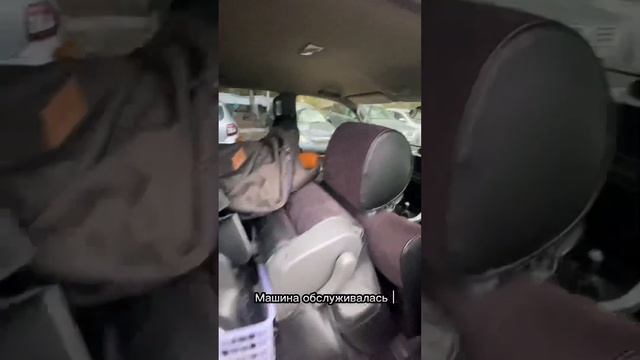 Качество! Самый живой прадик 120 ый объем 4 Литра европеец! От одного хозяина! смотреть онлайн