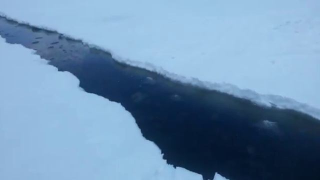 На юге Сахалина взломало припай. Рыбаки спасаются