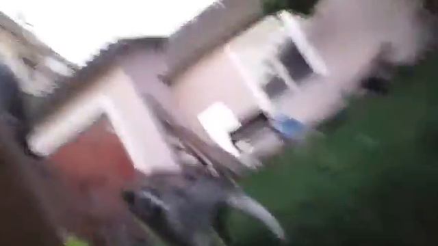 Забираю собаку )Ч.1 смотреть онлайн