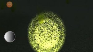 Я смог заснять Серена голова в реальной жизни