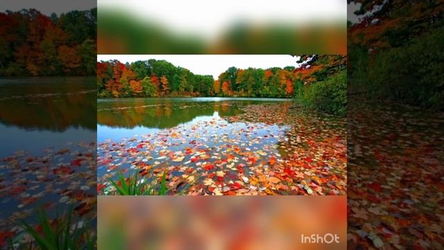 Читаю 3 своих стихотворения-межстрофника смотреть онлайн