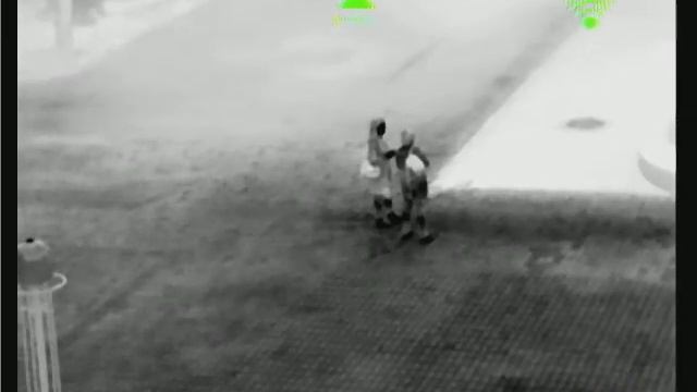 Палитры тепловизора Dali S240 50 Метров смотреть онлайн