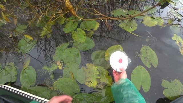 ДАВНО ТАК НЕ ФАРТИЛО.ВОТ ЭТО ЗАКРЫТИЕ СЕЗОНА ПО КРУЖКАМ.РЫБАЛКА В НОЯБРЯ 2023. смотреть онлайн