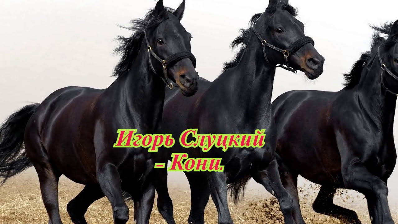 Игорь Слуцкий-Кони. смотреть онлайн