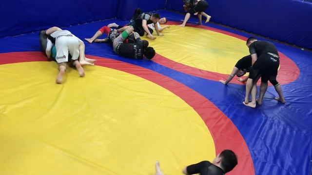 No gi Пушкинская. Side Bodylock Pass. #grappling #bjj #бжж #brazilianjiujitsu 14 ноября 2023 г. смотреть онлайн