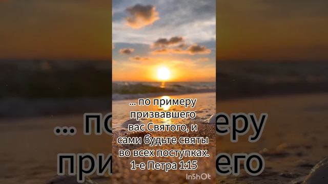 Добрый вечер 🌙 смотреть онлайн