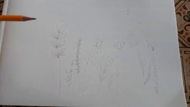 Sketch of simple flowers | Эскиз простых цветов | .Album. смотреть онлайн