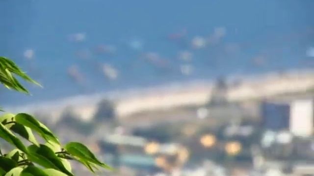 Son Tra seaview - canon sx40 hs смотреть онлайн