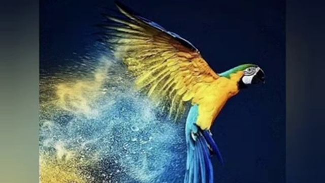 Мирної Ночі! смотреть онлайн