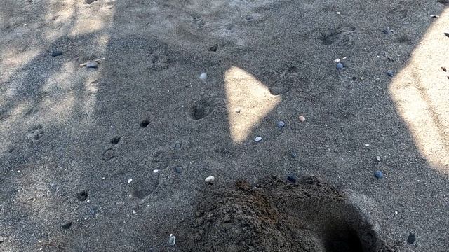 Beach Metal Detecting Crete - Minelab X-Terra Pro - Relic Hunt смотреть онлайн