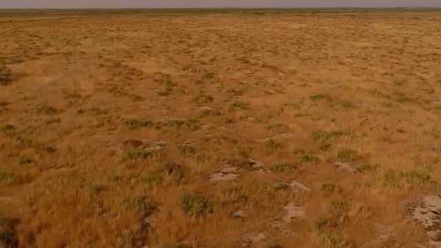 Wildlife 24 - The Wildest Day On Earth | Wildlife Documentary