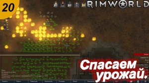 Спасаем урожай и первая операция.#20 RimWorld. Прохождение.