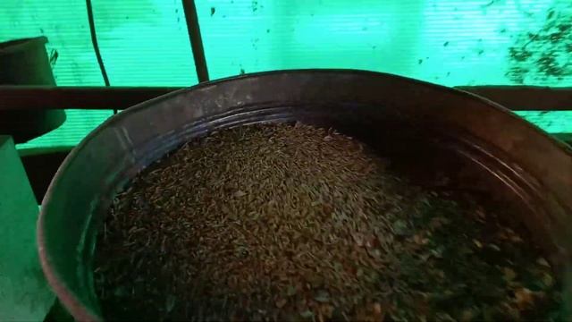 Гранулированные корма для кур смотреть онлайн