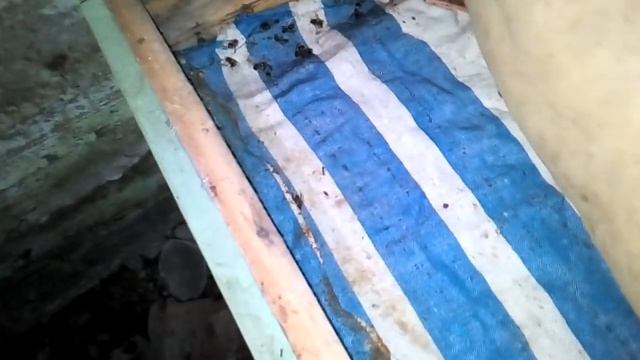 Зимовка пчел в омшанике 2018г. Январский осмотр.