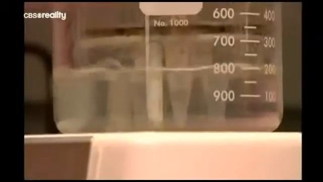 Убийство на реке. Расследование дела Мисти Морс | Криминальная история смотреть онлайн