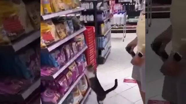 Вот это купи! смотреть онлайн