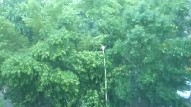 погода 27.05.2014 г.Ростов-на-Дону. смотреть онлайн
