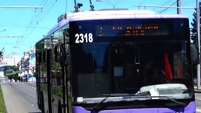 Птица#CамаяУмная..smart Raven prepares walnut смотреть онлайн